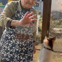 手をふるおばあさんとミケ猫
