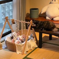 赤ちゃん用のおもちゃで遊ぶ猫