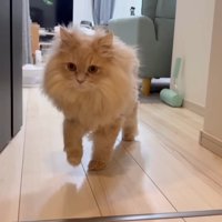 フランマくん