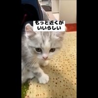 もっと近くが