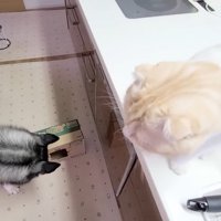 見下ろすじゅんちゃん