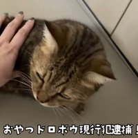 現行犯逮捕！！