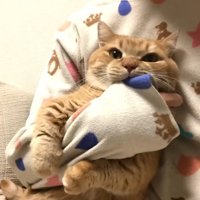 腕にギュッ