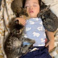 顔を寄せ合って寝ている子どもと子猫