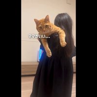 ママがいい…