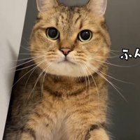 正面を向いてふんッ