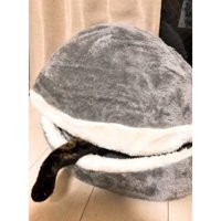 猫ベッドにいる猫