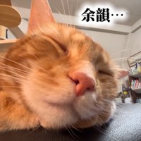 口が動く