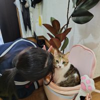 リュックの中の猫
