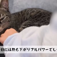 テロップ「次の日には熱も下がり～」