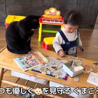 赤ちゃんの遊びを見守る猫