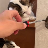 見つめるふたり