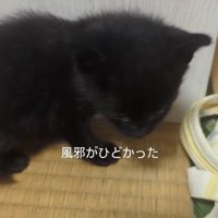 預かり当初