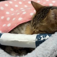 枕を使った姿