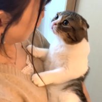 抱っこ