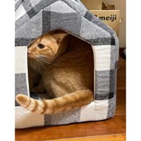 ねこベッドと猫