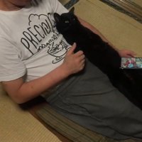 真っ直ぐ伸びた姿