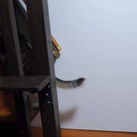 暗がりの中