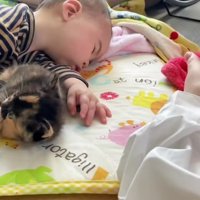 赤ちゃんと2匹の子猫