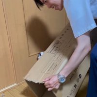 ダンボールの中に入った猫