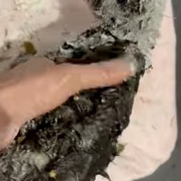オリーブオイルを塗る
