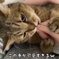 飼い主さんに抱っこされながらおやつを食べるみにらくん