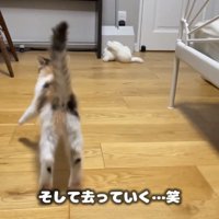 去っていくうなぎちゃん
