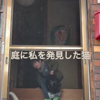 探す猫