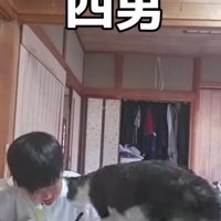 宿題をしている男の子と猫
