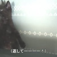 ソファからひょこっ