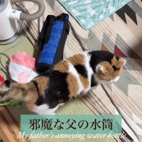 邪魔な父の水筒