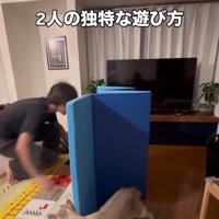 遊んでいる猫とパパさん