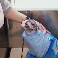 タオルで包まれて