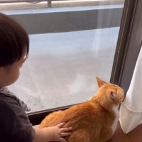 猫のおしりをたたく赤ちゃん