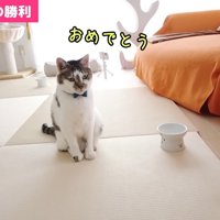 おめでとう