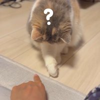 「？」と書かれた写真