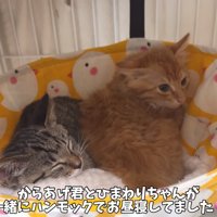 からあげくんとひまわりちゃん