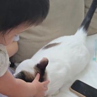 赤ちゃんと猫