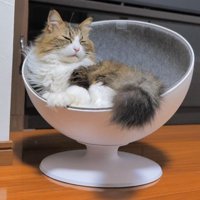 ベッドでくつろぐ姿