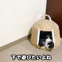 テロップ「下で遊びたいよね」