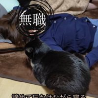 寝ている人のとなりにいる猫