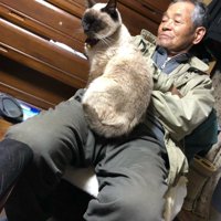 猫を抱っこしたおじいちゃん