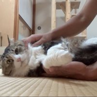 再びリラックス