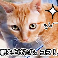 きら〜ん