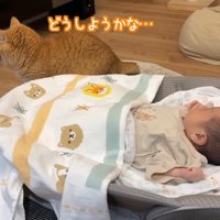 どうしようかな…
