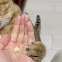 おやつをこぼす姿