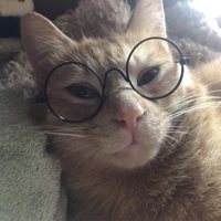 眼鏡姿のゆたくん