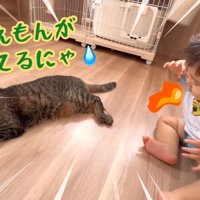 火ふいてるにゃ