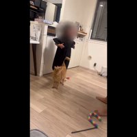 見上げる姿