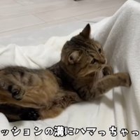 溝にはまってしまったみにらくん